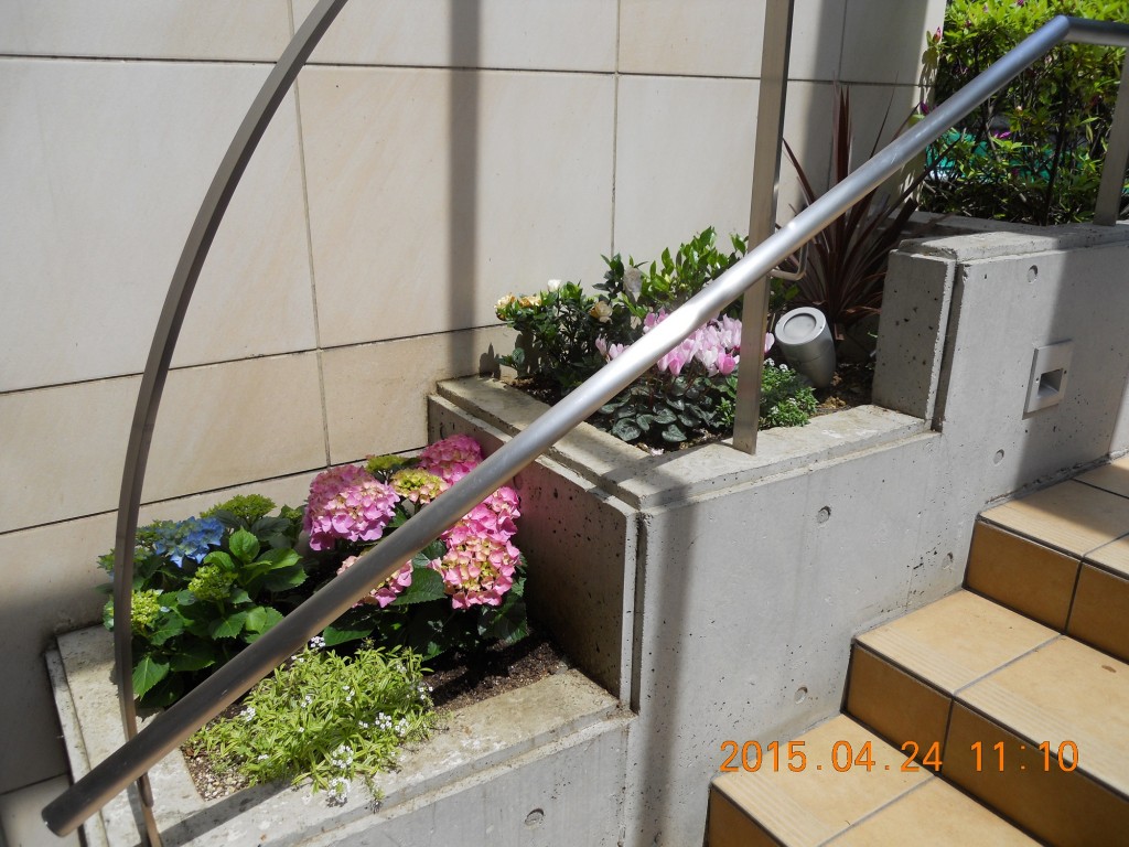 フォンテーヌ駒沢　エントランス花壇