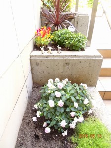 フォンテーヌ駒沢花壇